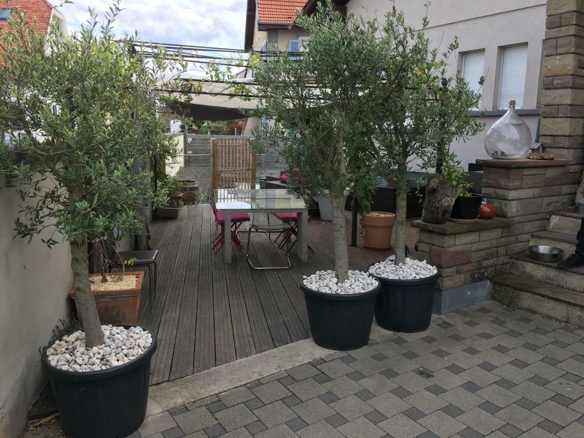 La Terrasse Selestadienne Selestat Ngoại thất bức ảnh